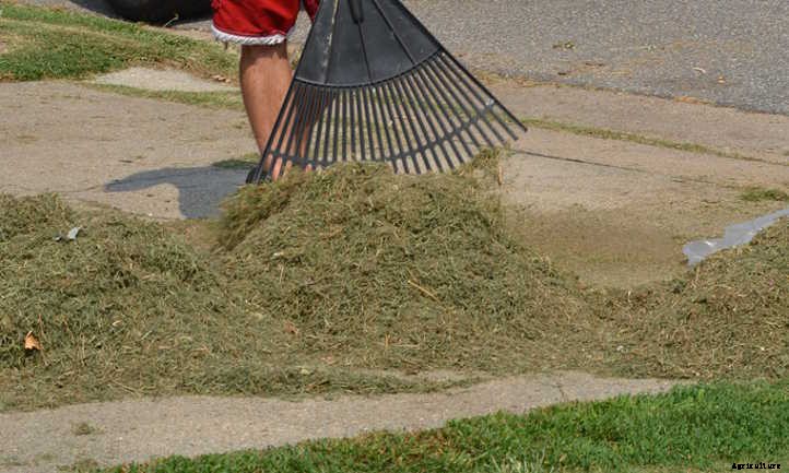 How to Use Grass Clippings In the Garden