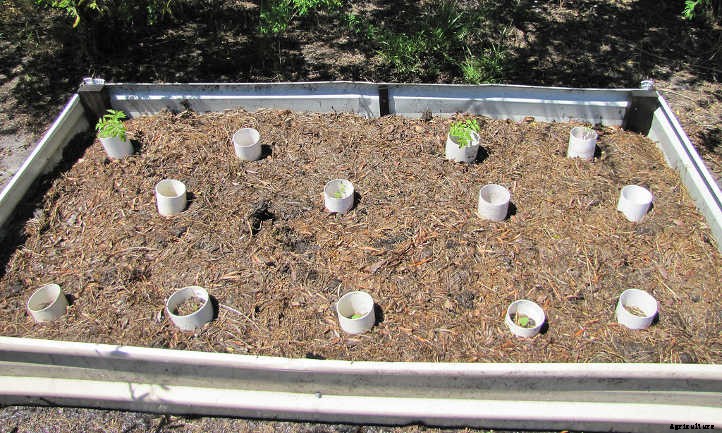 How to Use Grass Clippings In the Garden