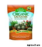 Cactus Soil: Everything You Need to Know