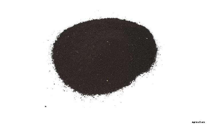 How to Use Blood Meal to Improve Your Soil