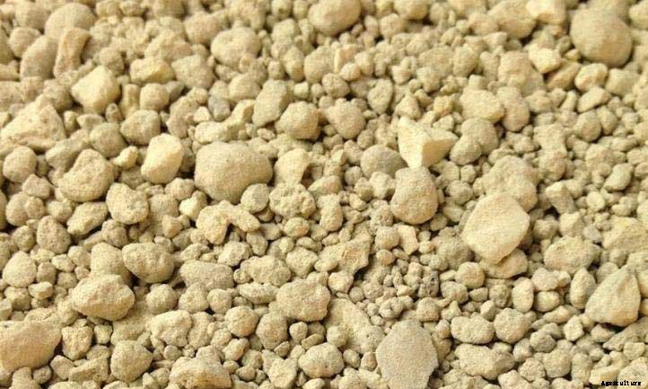 How to Use Rock Phosphate Fertilizer In Your Garden