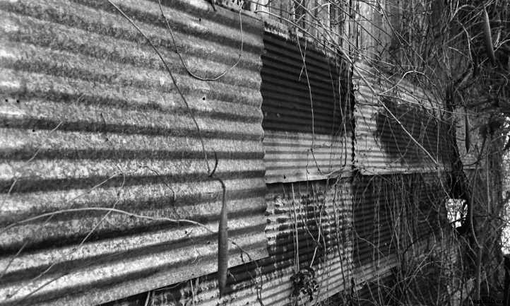 Are Galvanized Steel Garden Beds Safe?