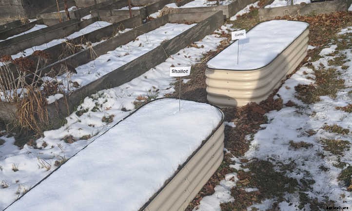 Are Galvanized Steel Garden Beds Safe?