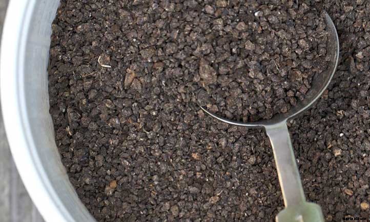Using Bat Guano (Bat Dung) In Your Garden