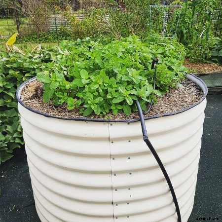 How To Fill A Tall Raised Garden Bed Quick & Easy