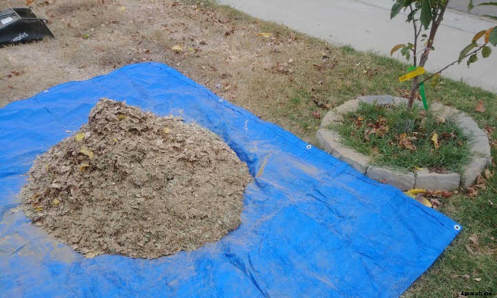 How To Fill A Tall Raised Garden Bed Quick & Easy