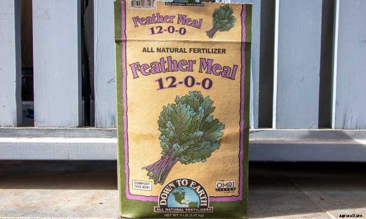 Feather Meal: A High-Nitrogen Organic Fertilizer