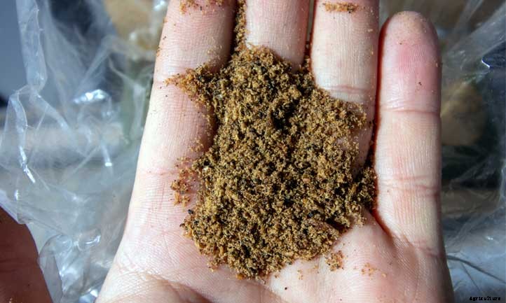 Feather Meal: A High-Nitrogen Organic Fertilizer