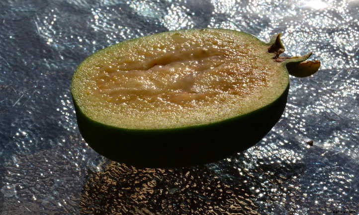 Pineapple Guava Tree: Tangy Tropical Treats