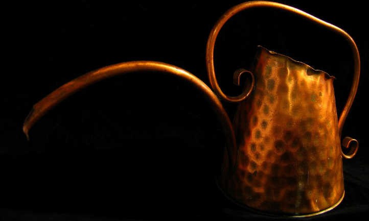 How Often To Water Succulents: A Quick Guide