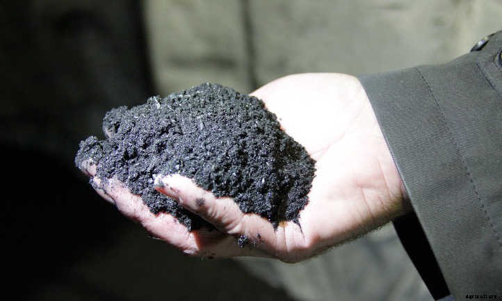 What Is Biochar? Charcoal In Gardening