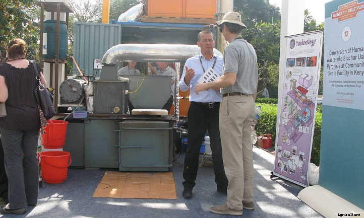 What Is Biochar? Charcoal In Gardening