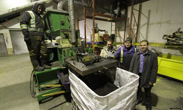 What Is Biochar? Charcoal In Gardening