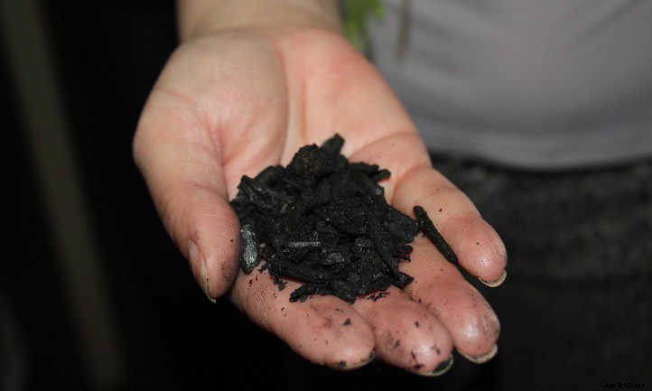 What Is Biochar? Charcoal In Gardening