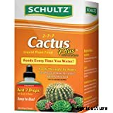 Opuntia Microdasys: The Peter Rabbit of Cacti