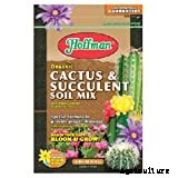 Opuntia Microdasys: The Peter Rabbit of Cacti