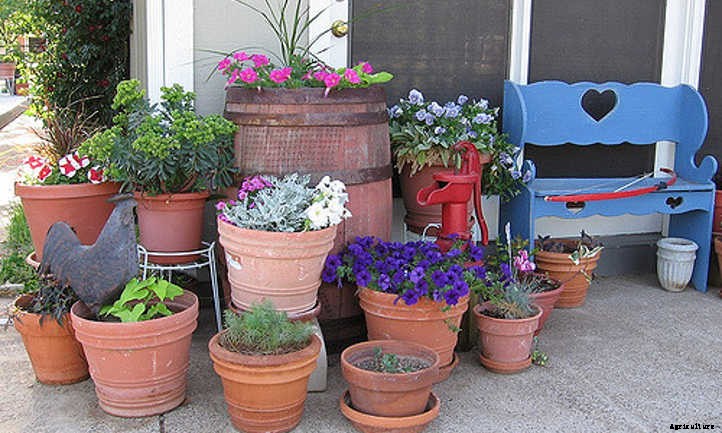 Small Home Garden: Go On The Road With These