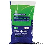 Cat Grass: Growing Tasty Treats For Your Feline Friends