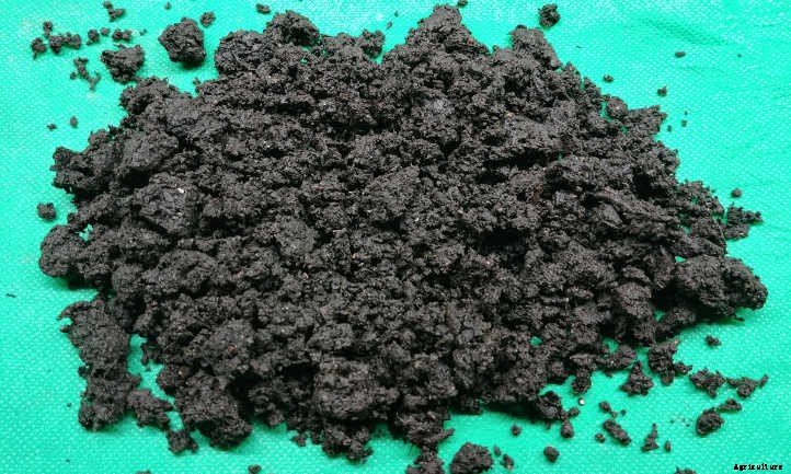 Worm Castings: Powerhouse Poop From Wiggly Worms