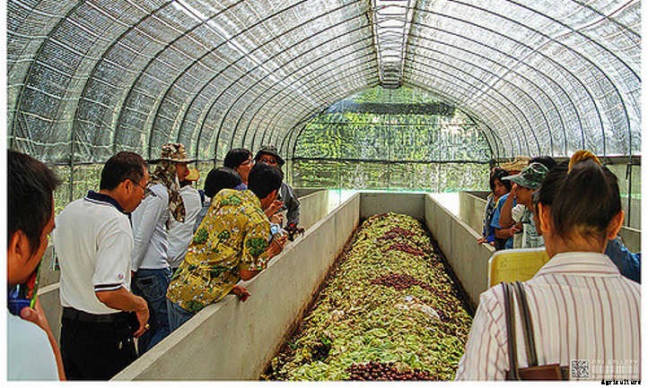 Worm Castings: Powerhouse Poop From Wiggly Worms