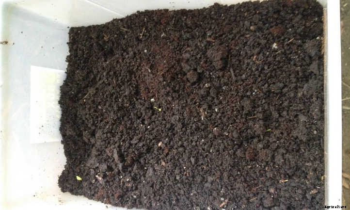 Worm Castings: Powerhouse Poop From Wiggly Worms