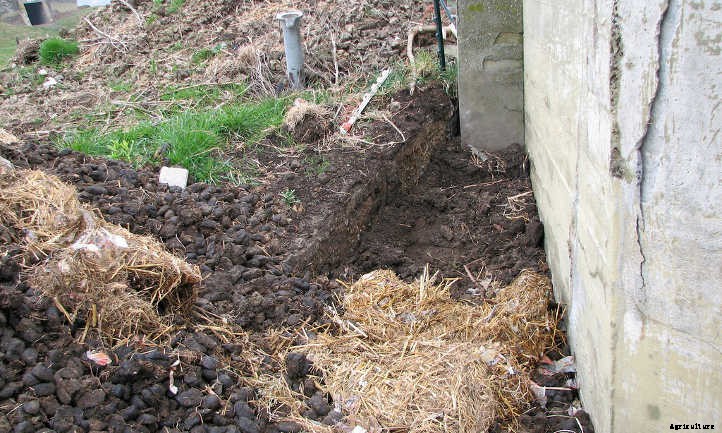Horse Manure: From Road Apples To Fertilizer