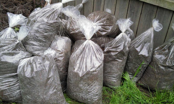 Horse Manure: From Road Apples To Fertilizer