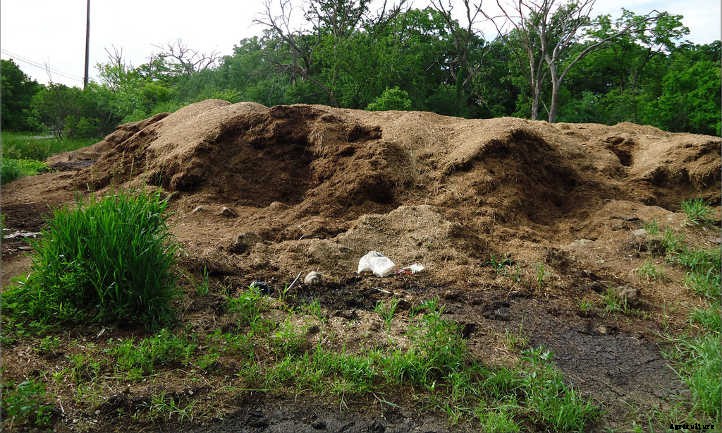 Horse Manure: From Road Apples To Fertilizer