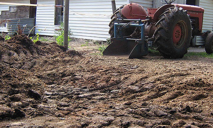 Horse Manure: From Road Apples To Fertilizer