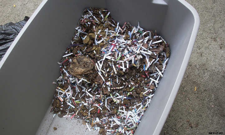 Horse Manure: From Road Apples To Fertilizer