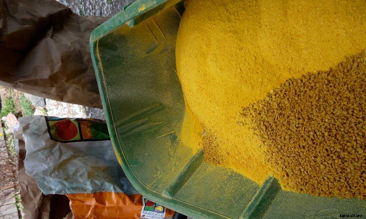 Corn Gluten Meal: A Fertilizer And Natural Herbicide