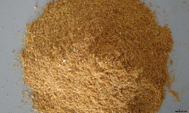 Corn Gluten Meal: A Fertilizer And Natural Herbicide