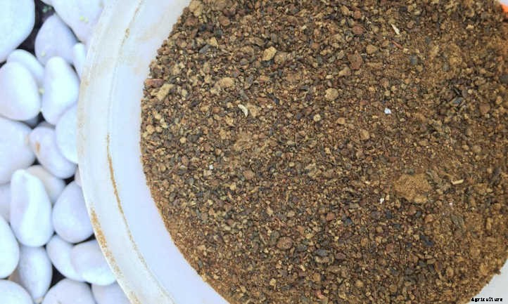 Cottonseed Meal: A Trash To Treasure Fertilizer Story