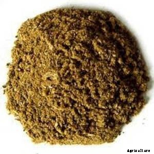 Fish Fertilizer: What It Is And How To Use It