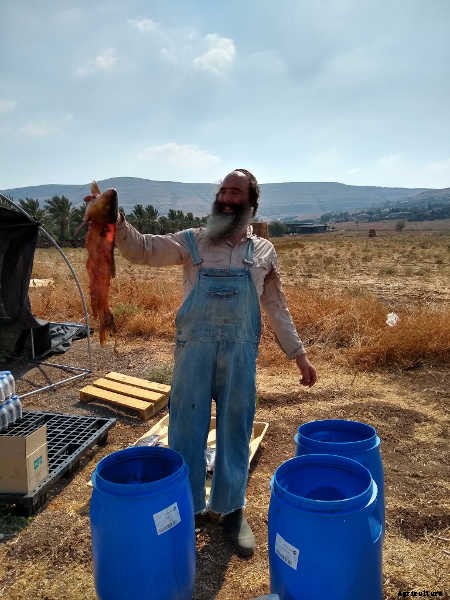 Fish Fertilizer: What It Is And How To Use It