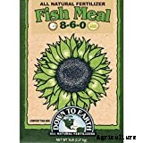 Fish Fertilizer: What It Is And How To Use It