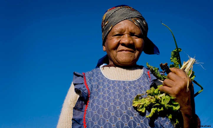 Mental Health Benefits of Gardening: Nature’s Healing Touch