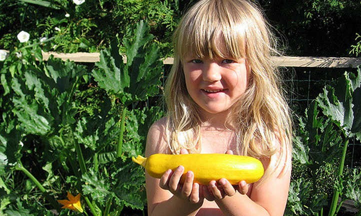 Mental Health Benefits of Gardening: Nature’s Healing Touch