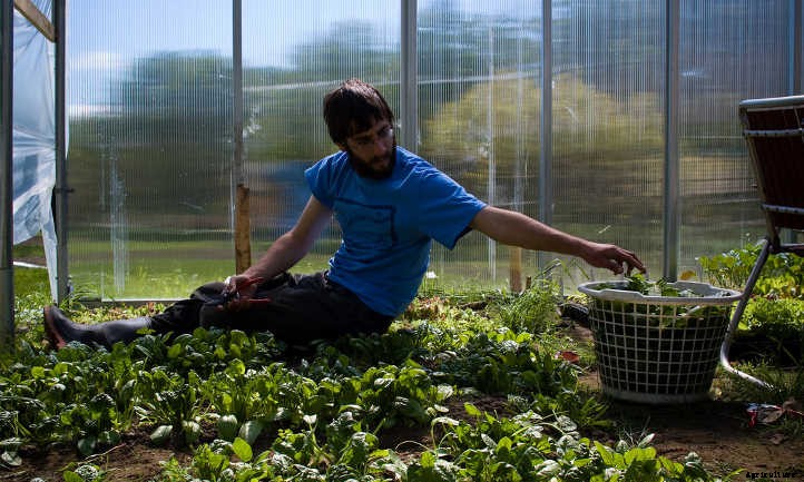 Mental Health Benefits of Gardening: Nature’s Healing Touch