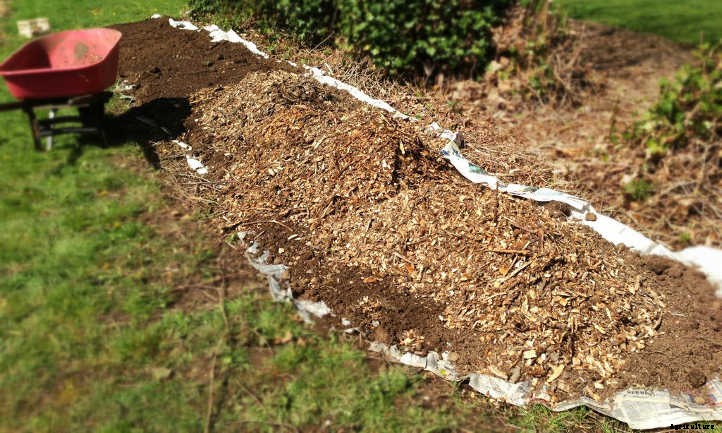 Back To Eden Gardening: Rich Soil Done Nature’s Way