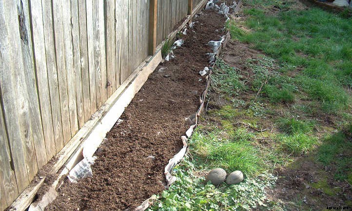 Back To Eden Gardening: Rich Soil Done Nature’s Way