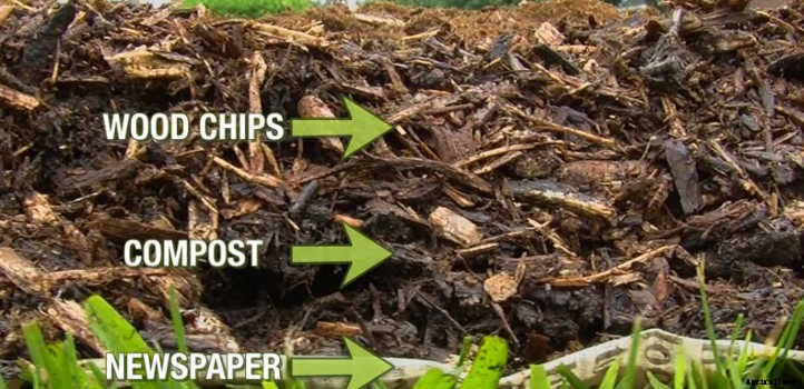 Back To Eden Gardening: Rich Soil Done Nature’s Way