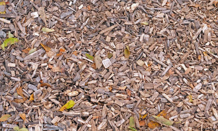 Back To Eden Gardening: Rich Soil Done Nature’s Way