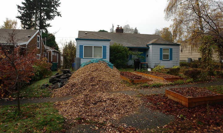 Back To Eden Gardening: Rich Soil Done Nature’s Way