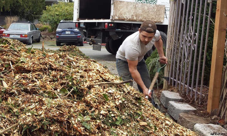 Back To Eden Gardening: Rich Soil Done Nature’s Way