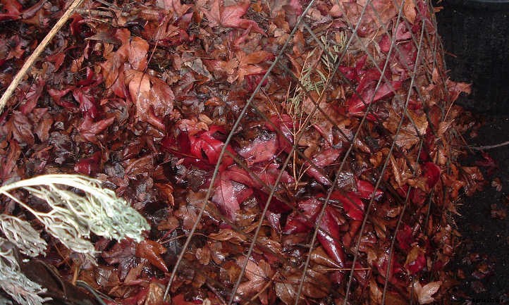 Back To Eden Gardening: Rich Soil Done Nature’s Way