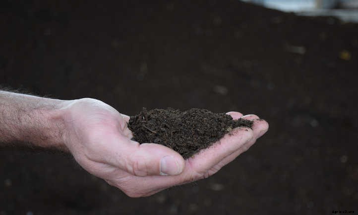 Back To Eden Gardening: Rich Soil Done Nature’s Way