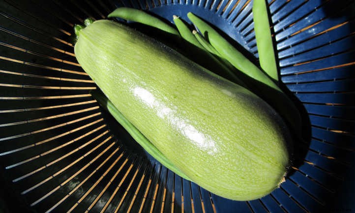 Summer Squash From A To Zucchini: Best Types And How To Grow Them