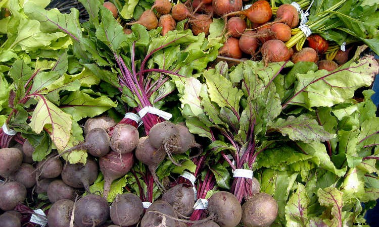 Growing Beets: A Bounty Of Root Crops For Fall & Spring