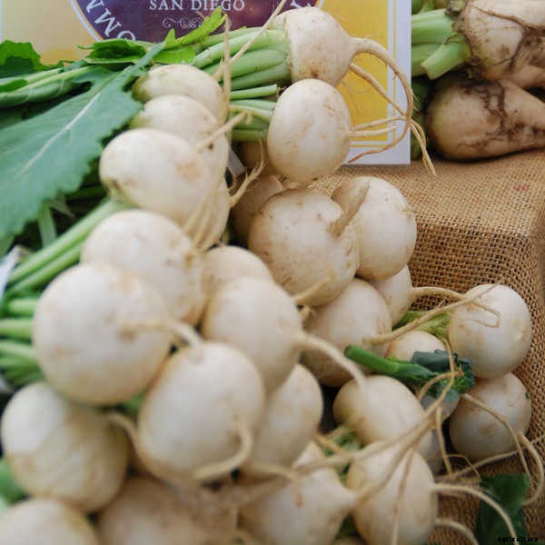 Growing Beets: A Bounty Of Root Crops For Fall & Spring